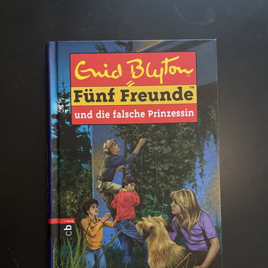 Fünf Freunde und die falsche Prinzessin