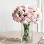 Lavieenrose_