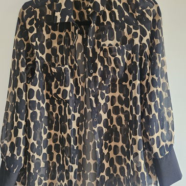 Phase eight Blouse