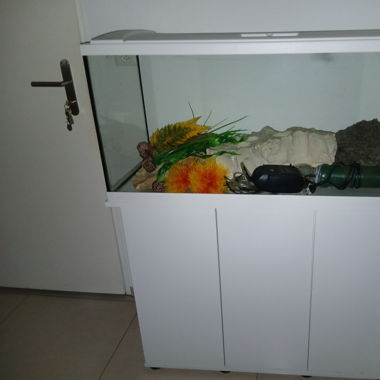 Aquarium 180l mit Unterschrank & Zubehör