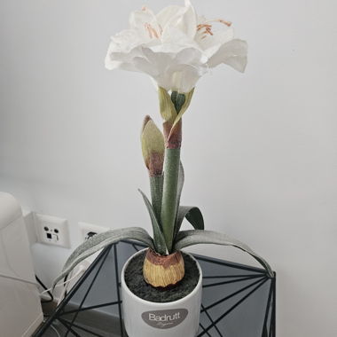 Kunstblume Badrutt