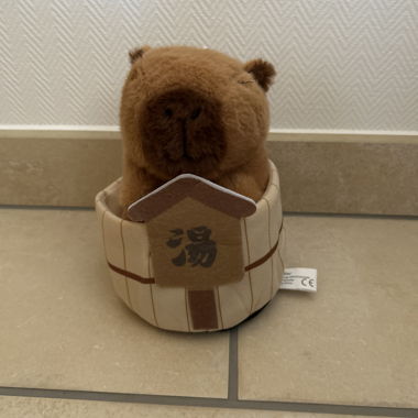 Peluche capybara in bagno