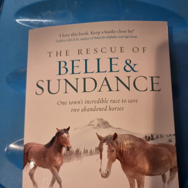 The Rescue of Belle and Sundance