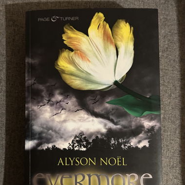 Evermore - Das Schattenland, Roman, Top Zustand!
