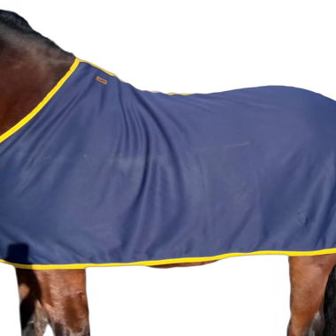 Chemise Eskadron 140cm (équitation)