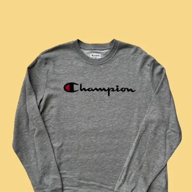 Champion Sweatshirt