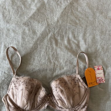 Cute Japanese Bra