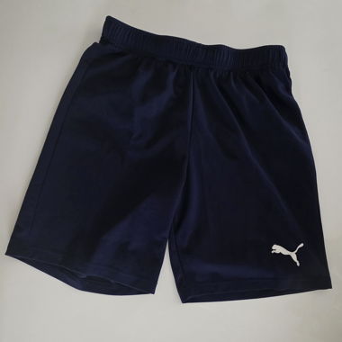 Puma Sportschorts