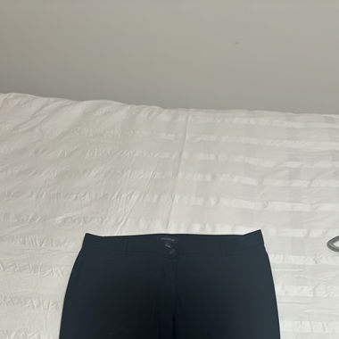 Ann Taylor trousers