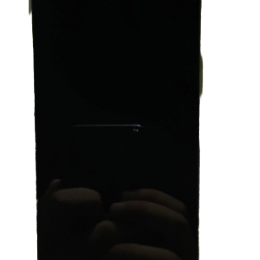 iPhone 17 Sage Green
