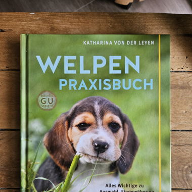 Welpen Praxis Buch