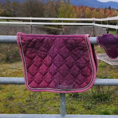 Set coperta e cuffia per cavallo (equitazione)