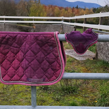 Set coperta e cuffia per cavallo (equitazione)
