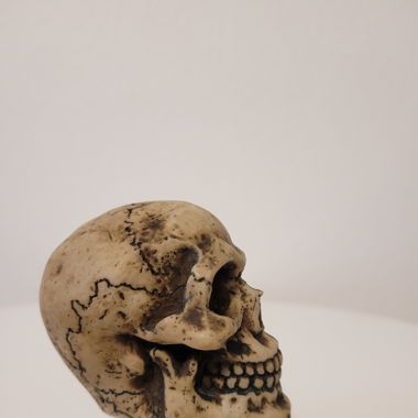 Pommeau de vitesse tête de mort