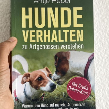 Hunde Verhalten Buch