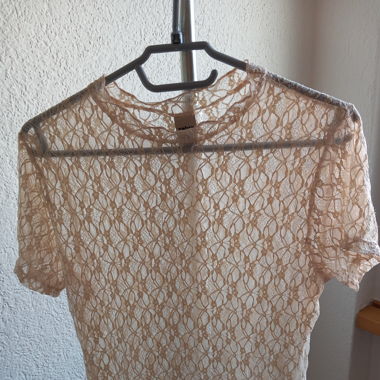 Seethrough, cream top