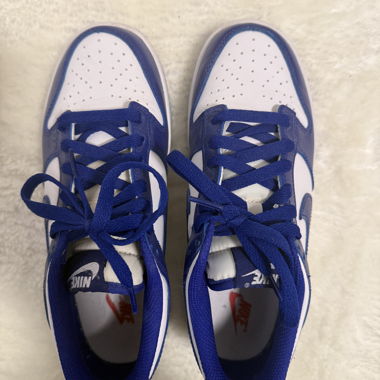Nike Dunk Low Blau/Weiss