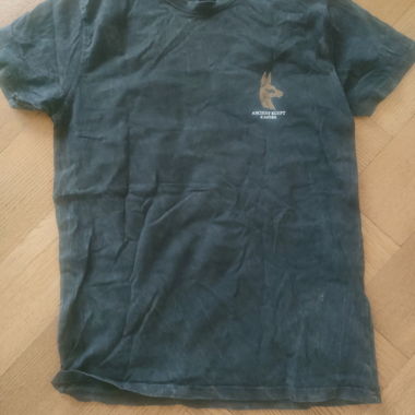 T-shirt egypt