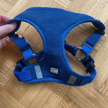 Anione Blue Harness 38–54 cm