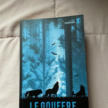 Le gouffre - Rolland Auda