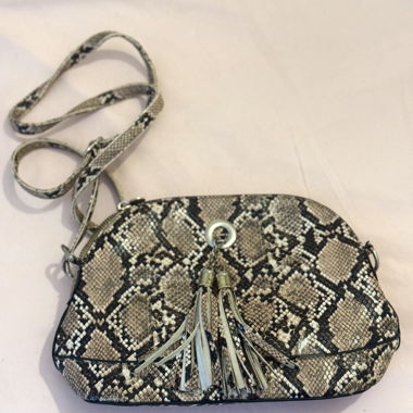 Snake Print Crossbody Bag