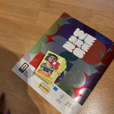 Panini to fill the album
