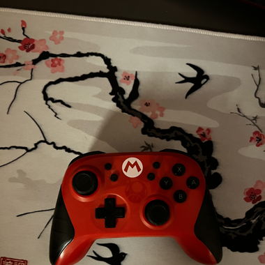 Nintendo Switch Mario Controller