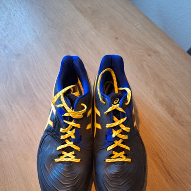Asics BLAST FF