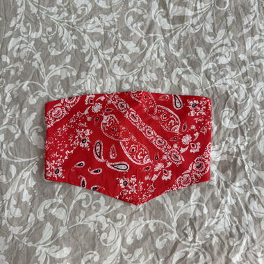 Red Bandana Bandeau Top