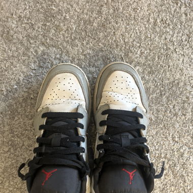 Low Jordan 1s