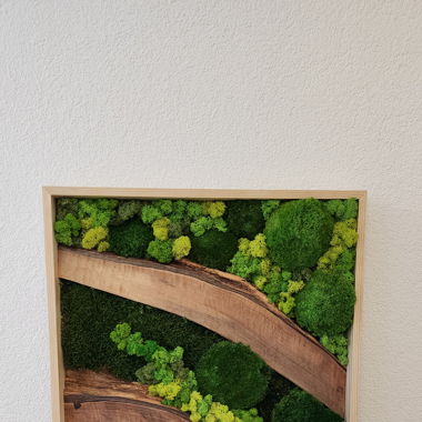 Moosbild