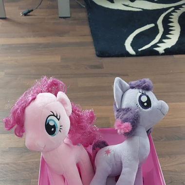 My Little Pony - Box und Plüschtiere