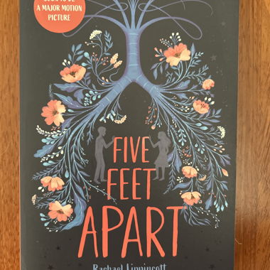 englisches Buch Five feet apart 