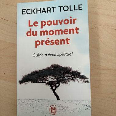 Libro - Il potere di adesso