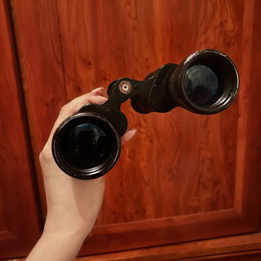 Binocoli Swarovski Optik Tirol