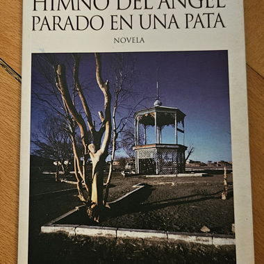 Inno dell’angelo, romanzo