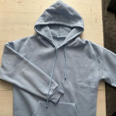 baby blauer hoodie