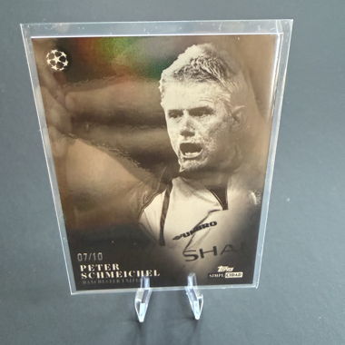Carte Peter Schmeichel /10