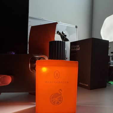 Orange flamant 96/100ml