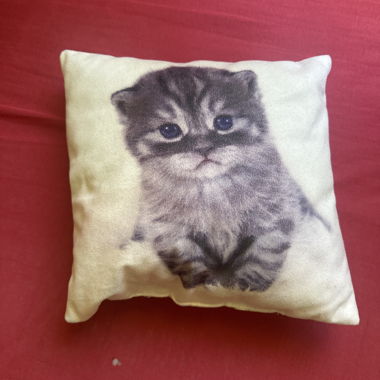 Cuscino per gatti