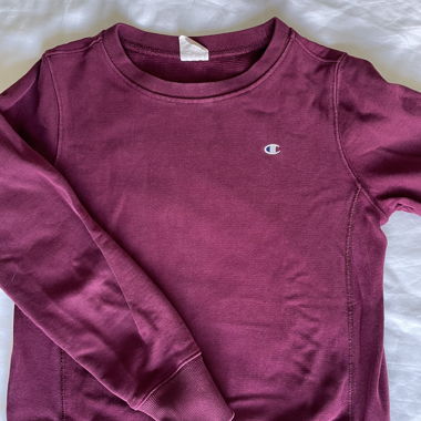 Champion Pullover