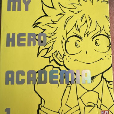 My Hero Academia - 1.Staffel