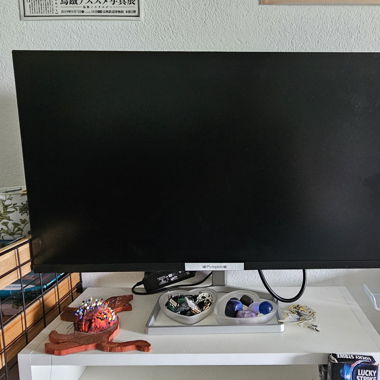 Monitor