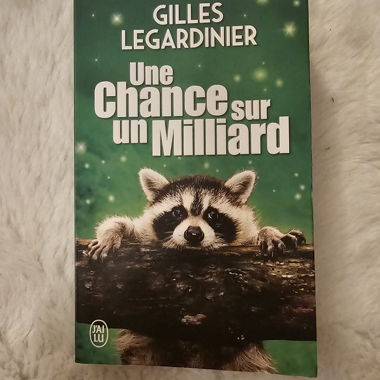 Buch - Gilles Legardinier - Eine Chance auf...