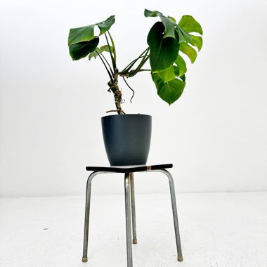  Mid-Century Hocker 1970er Jahre 