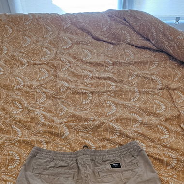 Beige Vans Shorts